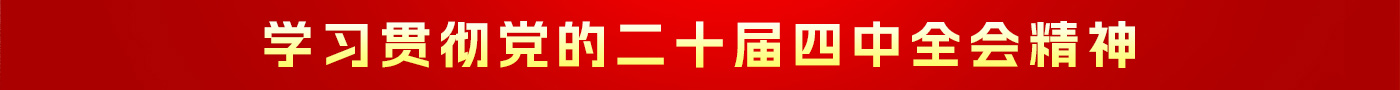 学习贯彻党的二十届四中全会精神