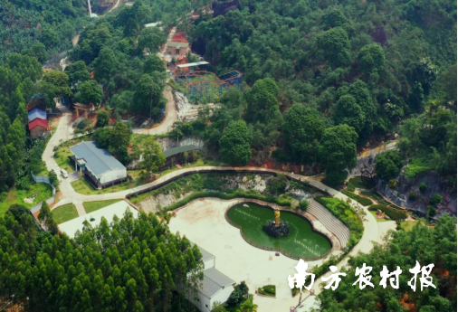 揭东区竹笋产业融合俯瞰图