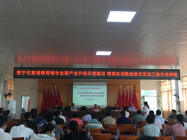 图片32.png