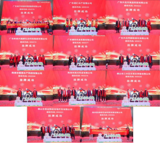 广东乡村振兴板挂牌仪式暨金融支持百千万高质量发展风补金赋能县域产业融资对接会成功举办,点亮金融支农“灯塔” 广东乡村振兴板挂牌仪式暨金融支持百千万高质量发展风补金赋能县域产业融资对接会成功举办,点亮金融支农“灯塔”