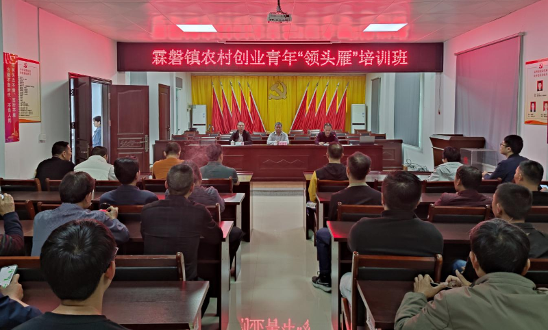 图片16.png