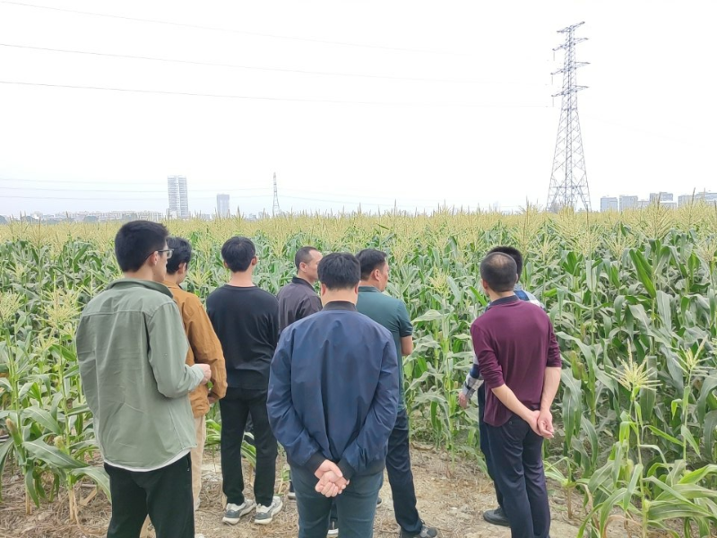 图片18.png