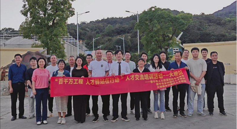 图片31.png