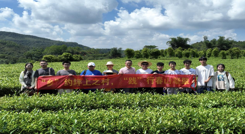 已编辑图片