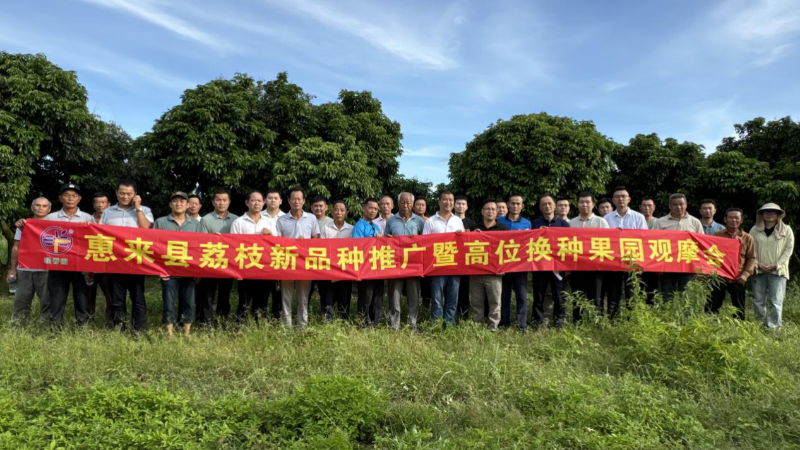图片 95.png