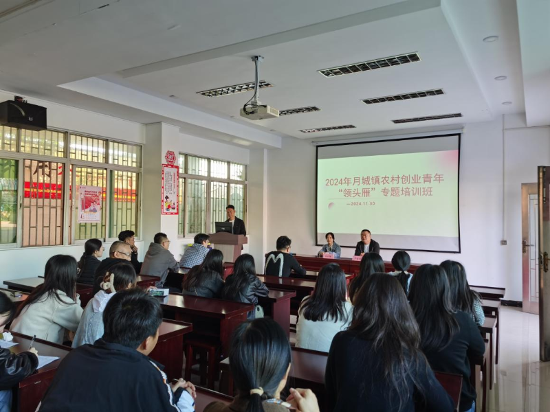 图片 5.png