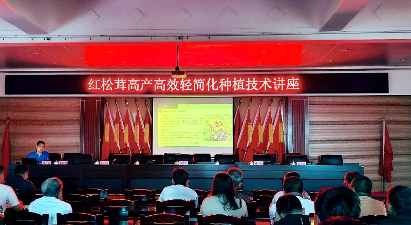 图片 105.png