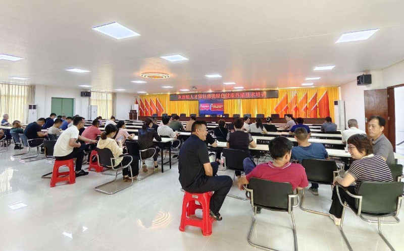 图片 85.png