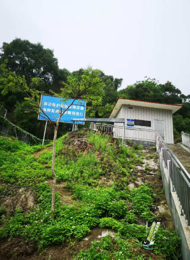 已编辑图片