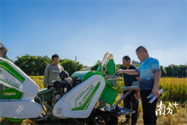 田间现场观摩。