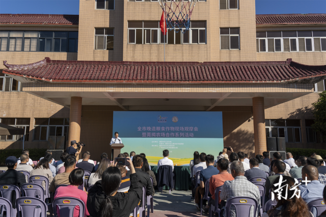 图为晚造粮食作物生产现场观摩会暨莞揭农场合作系列活动现场。