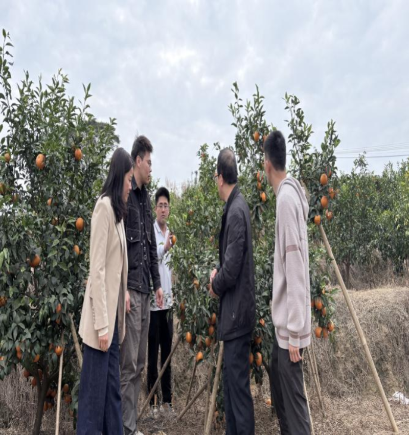 图片 31.png