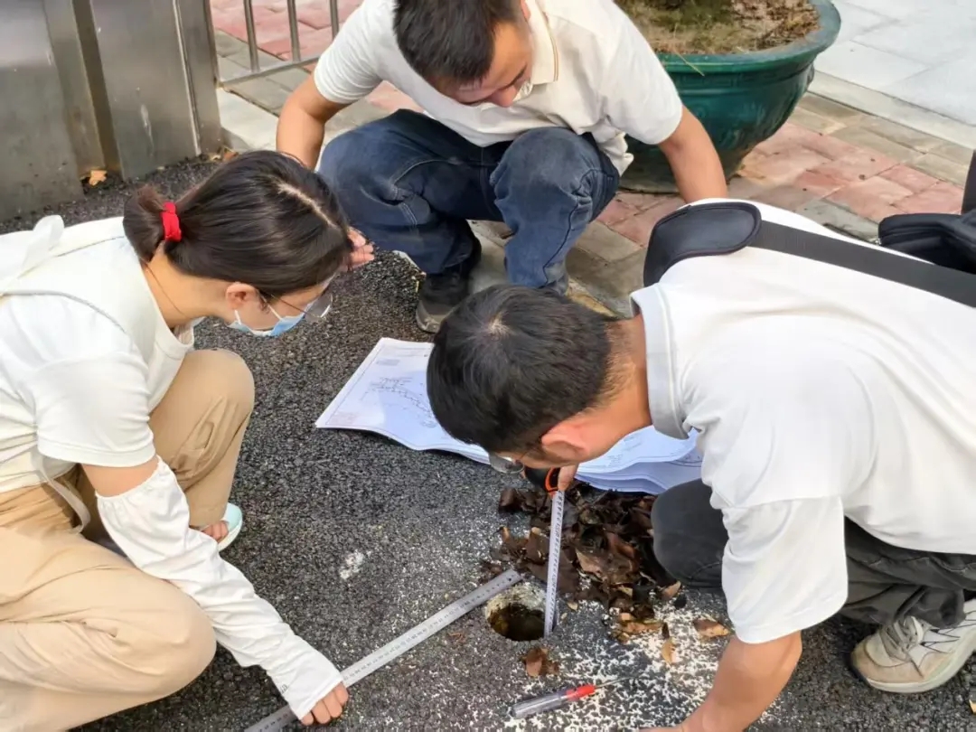 江门市审计局 江门市审计局
