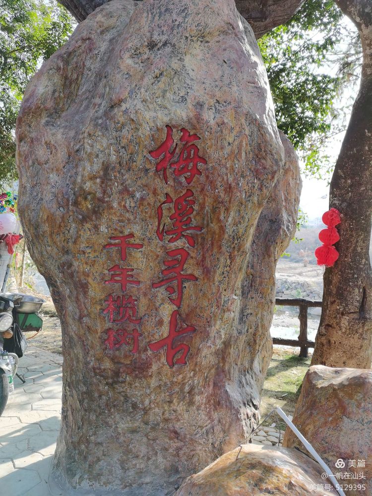 image6.jpeg
