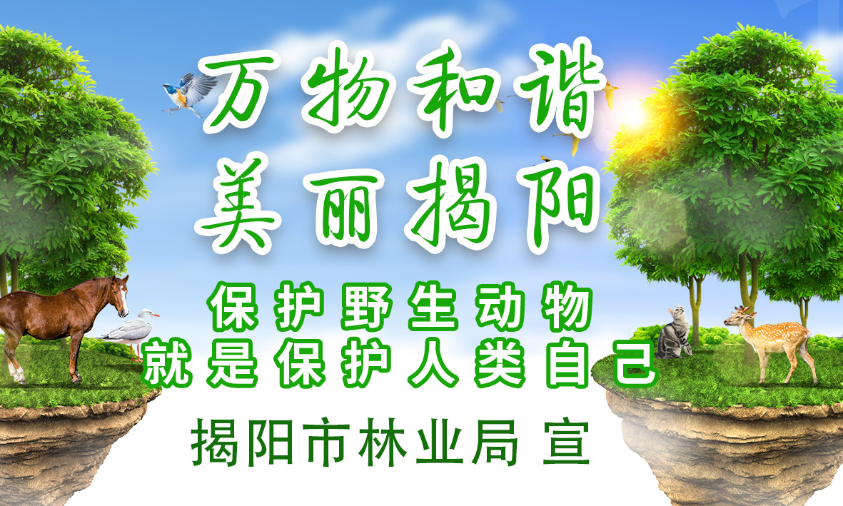万物和谐 美丽揭阳1.jpg