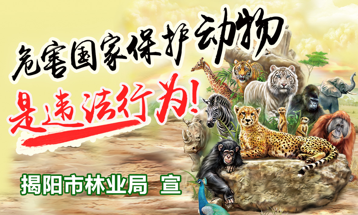 危害国家保护动物是违法行为-1.jpg