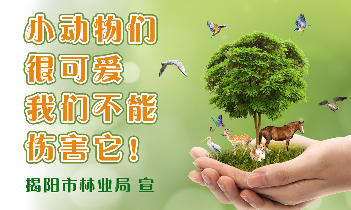 小动物们很可爱，我们不能伤害它！.jpg