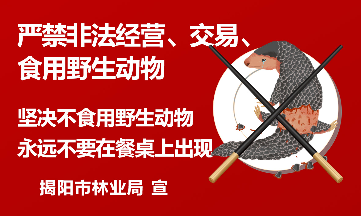 严禁非法经营、交易、食用野生动物.jpg