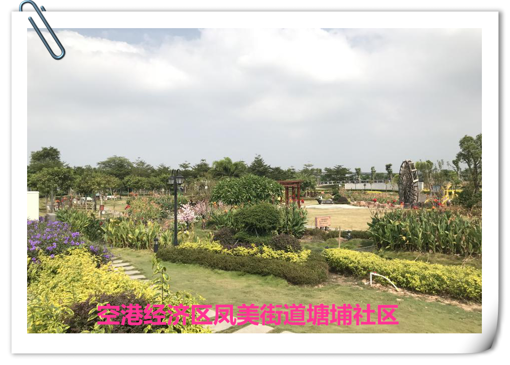 空港经济区凤美街道塘埔社区_副本.png