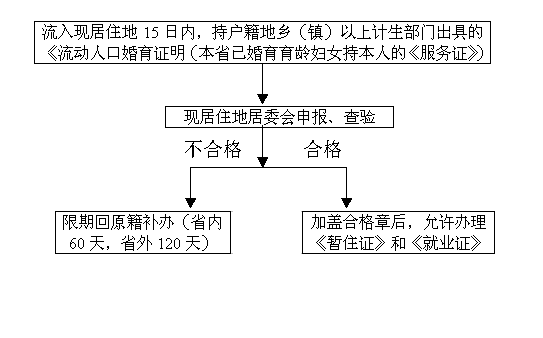 流动人口生育服务单不通过_春运人口流动图(3)